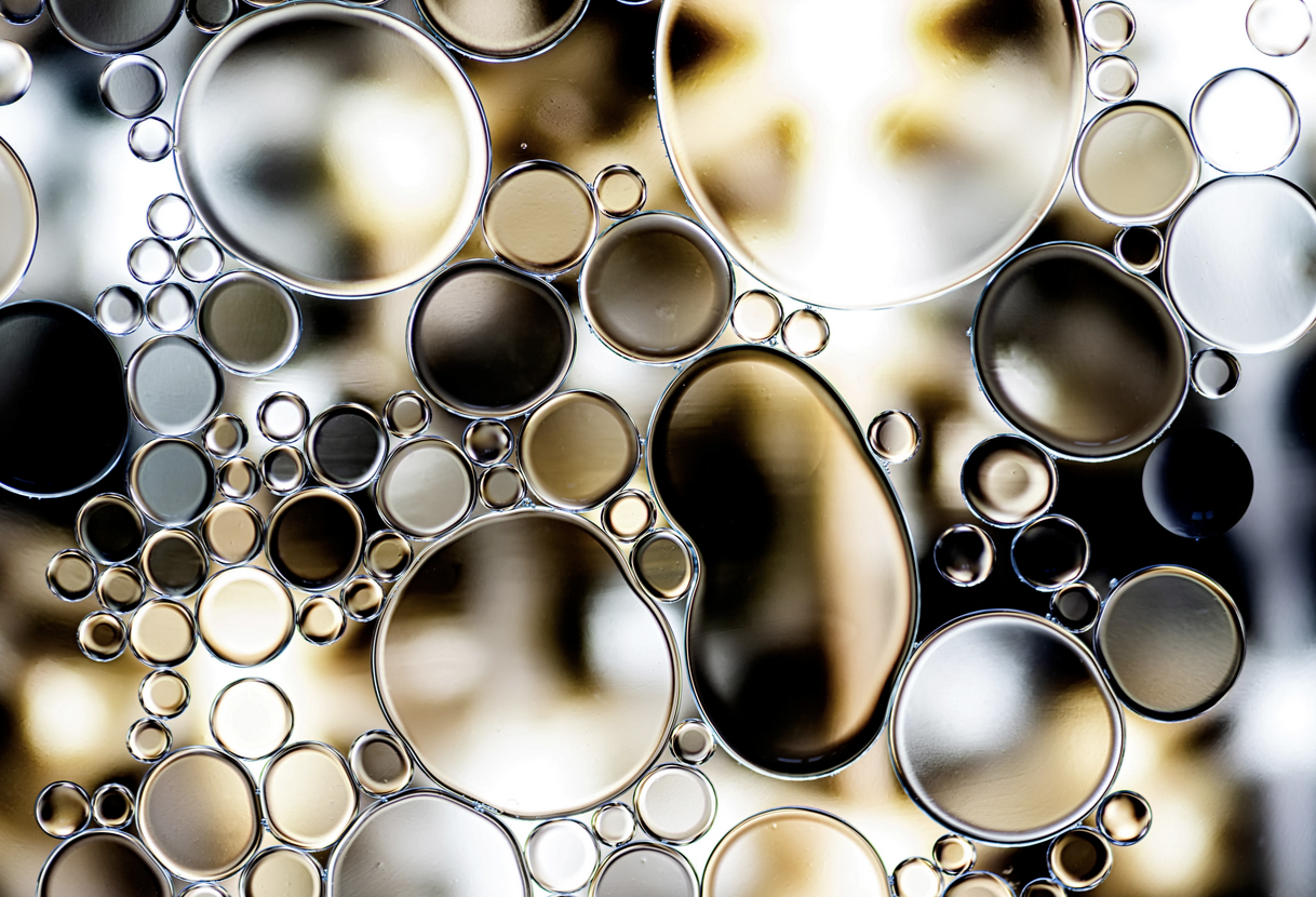 Screen+Shot+2024-12-17+at+1.47.02+AM